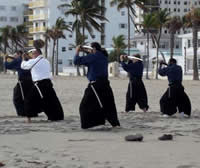 ninjas working out on a beach